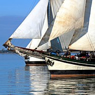 Segelschiff Segeln Nordsee_5